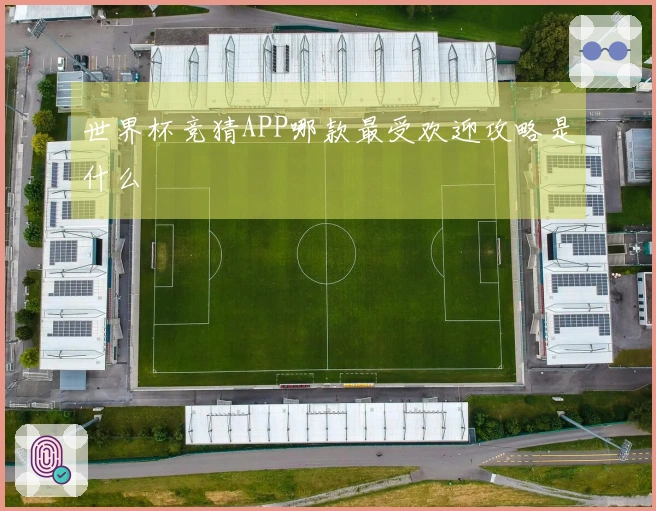 世界杯竞猜APP哪款最受欢迎攻略是什么