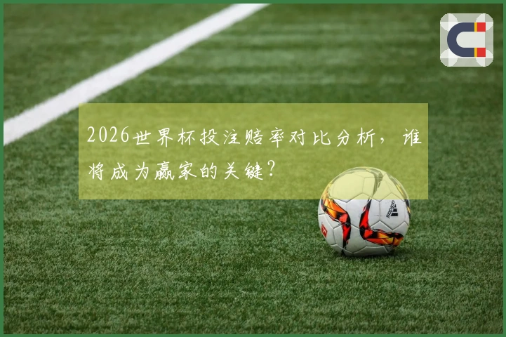 2026世界杯投注赔率对比分析，谁将成为赢家的关键？