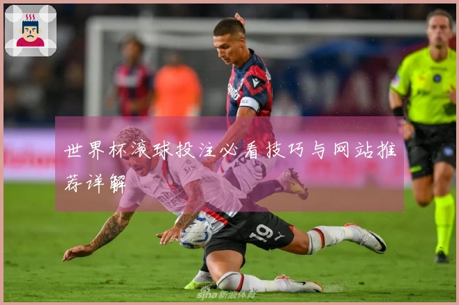 世界杯滚球投注必看技巧与网站推荐详解