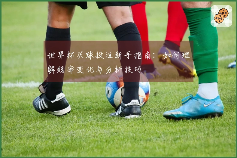 世界杯买球投注新手指南：如何理解赔率变化与分析技巧