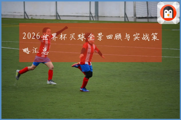 2026世界杯买球全景回顾与实战策略汇总