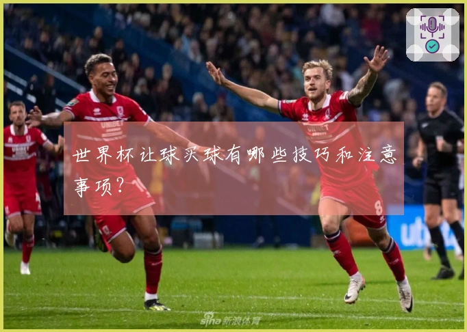 世界杯让球买球有哪些技巧和注意事项？